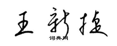 梁錦英王新捷草書個性簽名怎么寫