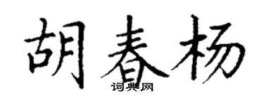 丁謙胡春楊楷書個性簽名怎么寫