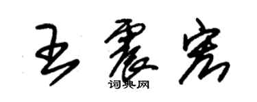 朱錫榮王震宏草書個性簽名怎么寫