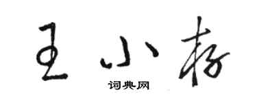 駱恆光王小存草書個性簽名怎么寫