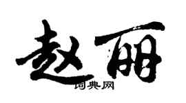 胡問遂趙麗行書個性簽名怎么寫