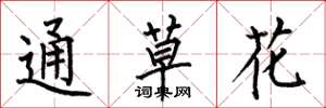 何伯昌通草花楷書怎么寫