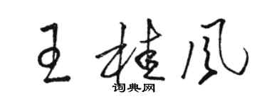 駱恆光王桂風草書個性簽名怎么寫