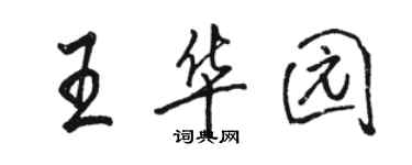 駱恆光王華園行書個性簽名怎么寫