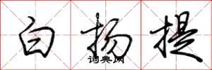 荊霄鵬白揚提行書怎么寫