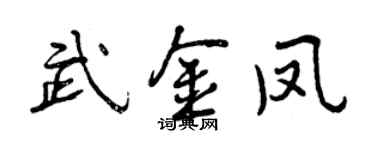 曾慶福武金鳳行書個性簽名怎么寫