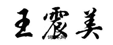 胡問遂王震美行書個性簽名怎么寫