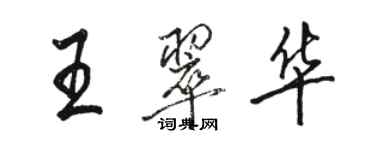 駱恆光王翠華行書個性簽名怎么寫