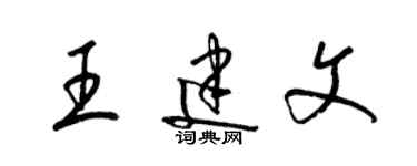 梁錦英王建文草書個性簽名怎么寫