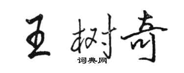 駱恆光王樹奇行書個性簽名怎么寫