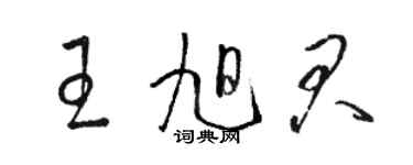 駱恆光王旭君草書個性簽名怎么寫