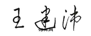 駱恆光王建沛草書個性簽名怎么寫