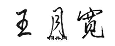 駱恆光王月寬行書個性簽名怎么寫