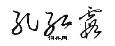 駱恆光孔紅霞草書個性簽名怎么寫