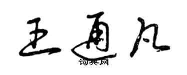 曾慶福王通凡草書個性簽名怎么寫