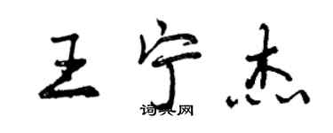 曾慶福王寧傑行書個性簽名怎么寫