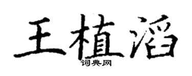 丁謙王植滔楷書個性簽名怎么寫