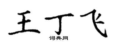 丁謙王丁飛楷書個性簽名怎么寫