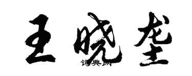 胡問遂王曉壟行書個性簽名怎么寫