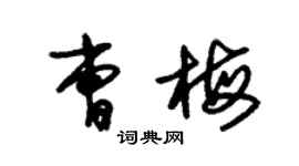 朱錫榮曹梅草書個性簽名怎么寫