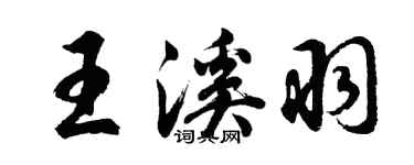 胡問遂王溪羽行書個性簽名怎么寫