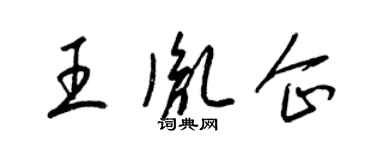 梁錦英王胤企草書個性簽名怎么寫