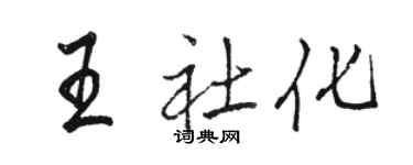 駱恆光王社化行書個性簽名怎么寫