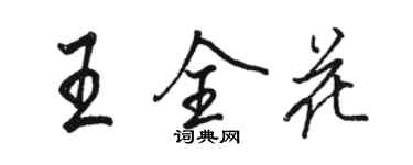 駱恆光王全花行書個性簽名怎么寫