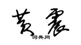 朱錫榮黃震草書個性簽名怎么寫