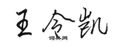 駱恆光王令凱行書個性簽名怎么寫