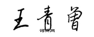 王正良王青曾行書個性簽名怎么寫