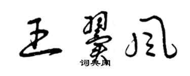 曾慶福王翼風草書個性簽名怎么寫