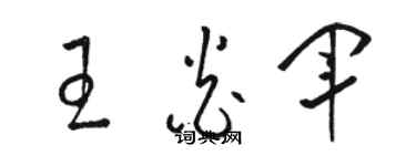 駱恆光王炎軍草書個性簽名怎么寫