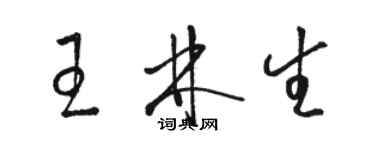 駱恆光王林生草書個性簽名怎么寫