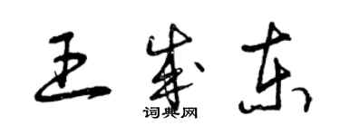 曾慶福王成東草書個性簽名怎么寫