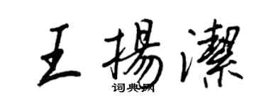 王正良王揚潔行書個性簽名怎么寫