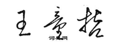 駱恆光王童哲草書個性簽名怎么寫