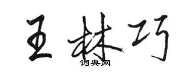 駱恆光王林巧行書個性簽名怎么寫