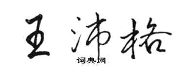 駱恆光王沛格行書個性簽名怎么寫