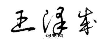 曾慶福王澤成草書個性簽名怎么寫