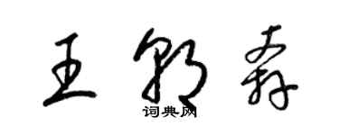 梁錦英王朝奔草書個性簽名怎么寫