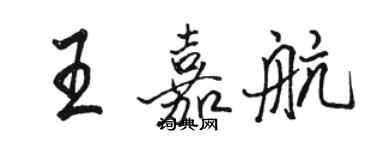 駱恆光王嘉航行書個性簽名怎么寫