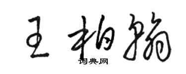 駱恆光王柏翰草書個性簽名怎么寫
