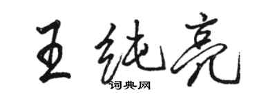 駱恆光王純亮行書個性簽名怎么寫