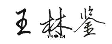 駱恆光王林鑒行書個性簽名怎么寫