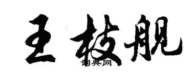 胡問遂王枝艦行書個性簽名怎么寫