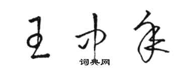 駱恆光王中年草書個性簽名怎么寫