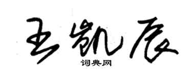 朱錫榮王凱辰草書個性簽名怎么寫