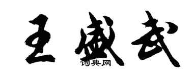 胡問遂王盛武行書個性簽名怎么寫