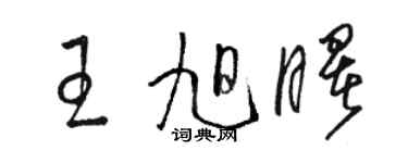 駱恆光王旭曙草書個性簽名怎么寫